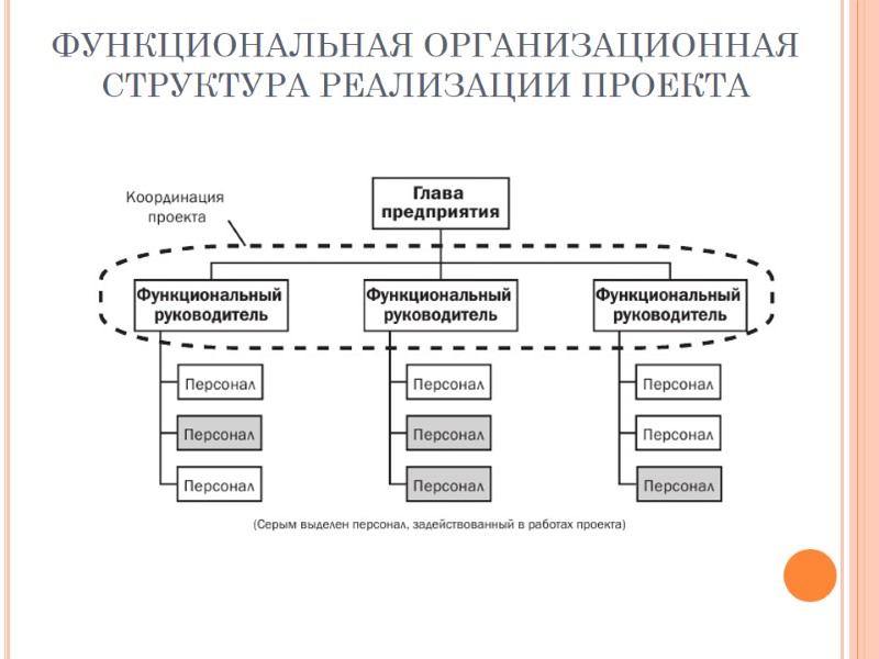 ФУНКЦИОНАЛЬНАЯ ОРГАНИЗАЦИОННАЯ СТРУКТУРА РЕАЛИЗАЦИИ ПРОЕКТА